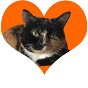 MiaOrangeHeart