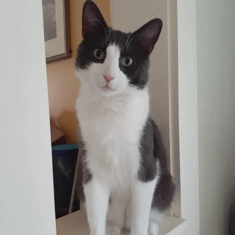 Zeus