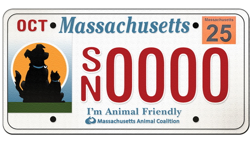 spayneuterlicenseplate
